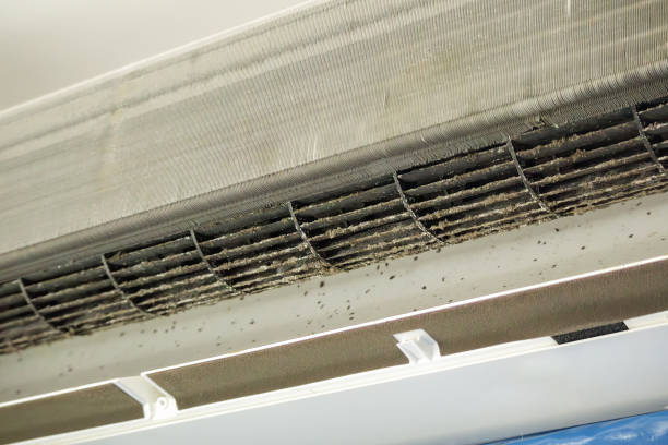 Best Residential Air Duct Cleaning  in Indian Harbour Beach, FL