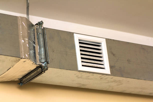 Best Professional Duct Cleaning Services  in Indian Harbour Beach, FL